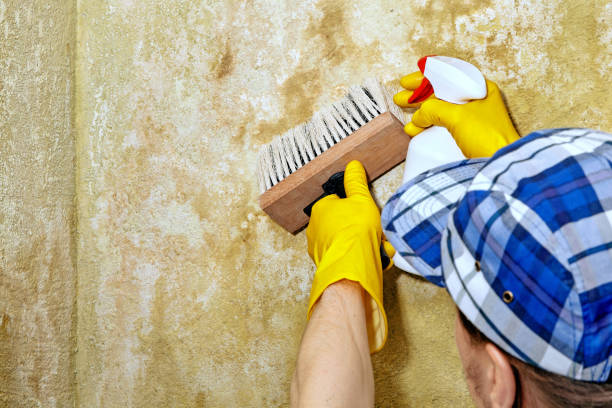 Best Residential Mold Inspection & Testing  in Good Hope, AL