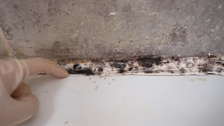 Best Mold Removal for HVAC Installations  in Good Hope, AL